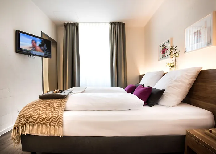 Alexianer Am Wasserturm Hotell Munster (North Rhine-Westphalia)